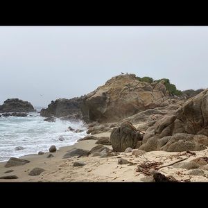 Meet your Posher, Teresa